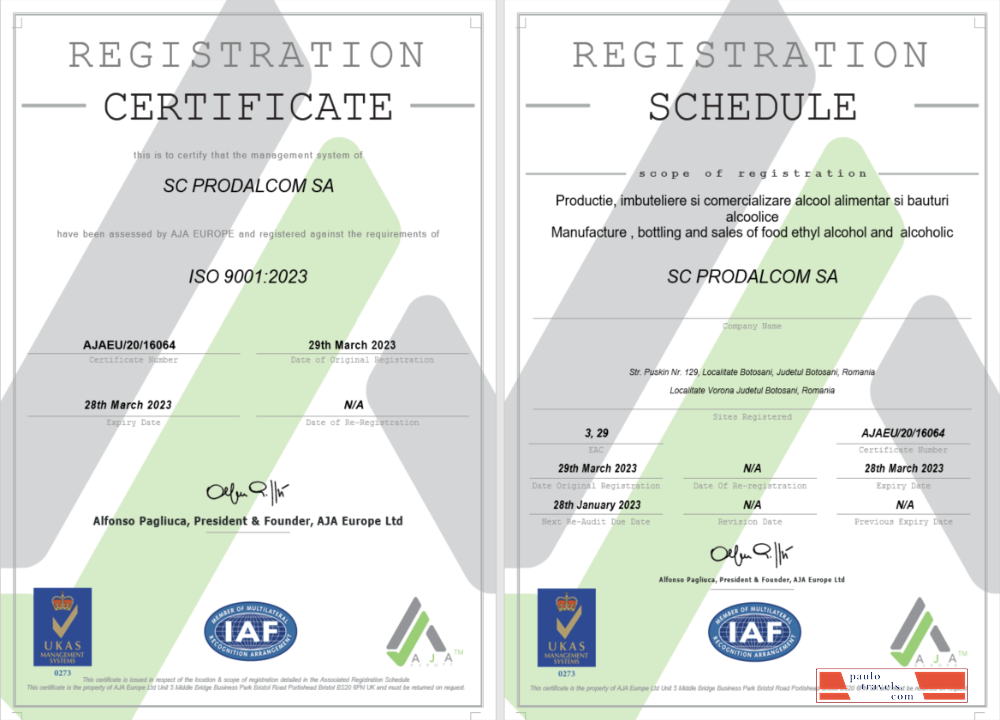 Italy certificate of registration Word and PDF template